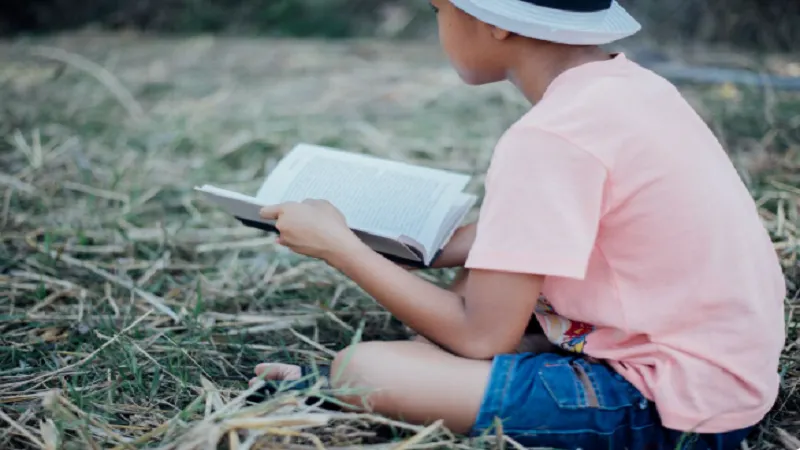 diary of a wimpy kid