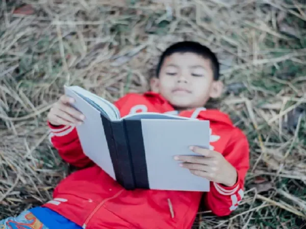 diary of a wimpy kid books