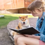 diary of a wimpy kid: dog days