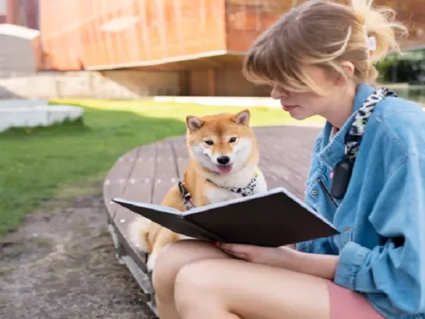 Diary of a Wimpy Kid: Dog Days