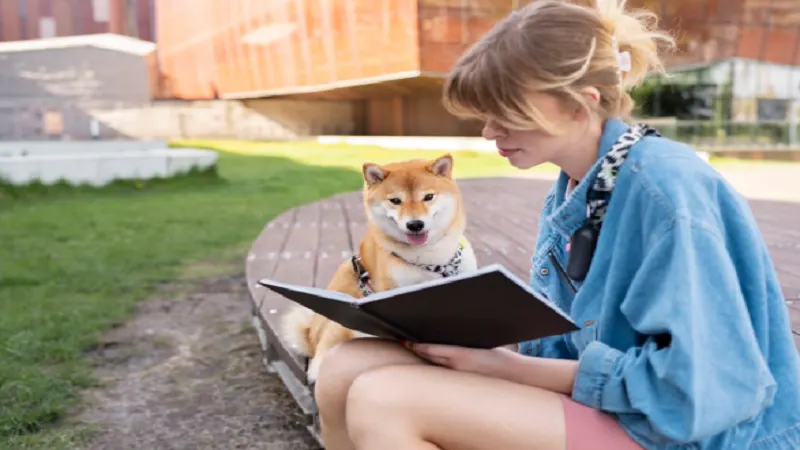 diary of a wimpy kid: dog days